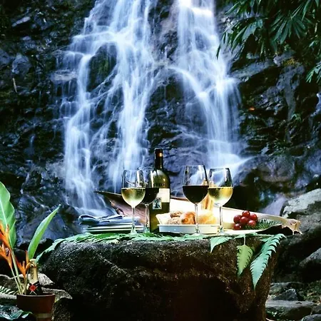 Zen Luxury Apartamento *